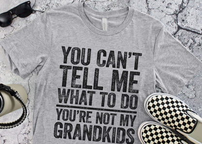 You Cant Tell Me What To Do Youre Not My Grandkids T Shirt | Funny Mens Best Papa Tee | Grandpa Gift
