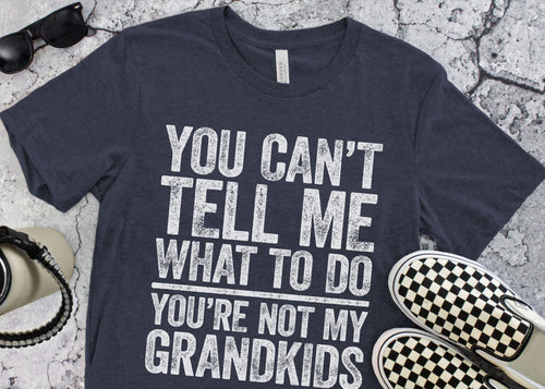 You Cant Tell Me What To Do Youre Not My Grandkids T Shirt | Funny Mens Best Papa Tee | Grandpa Gift